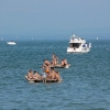 Der Bodensee bei Konstanz