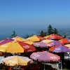 Der Bodensee, Pfänder