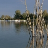 Der Bodensee bei Konstanz
