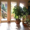 Ferienhaus Hoerbranz Diele