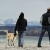 bodensee-hund210